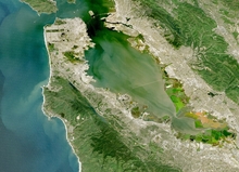 LandsatBayArea.jpg